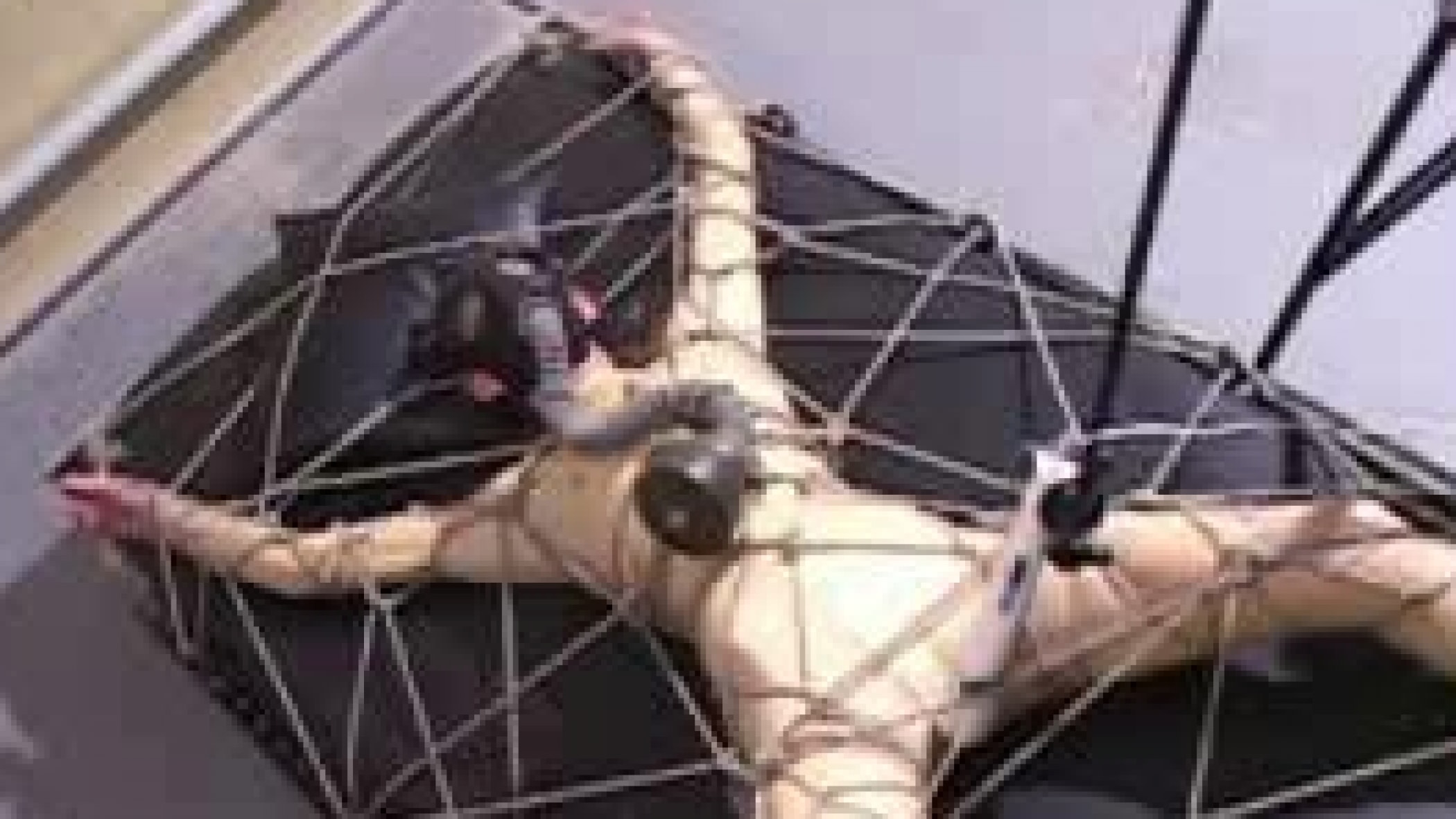 Cb In A Latexweb Video